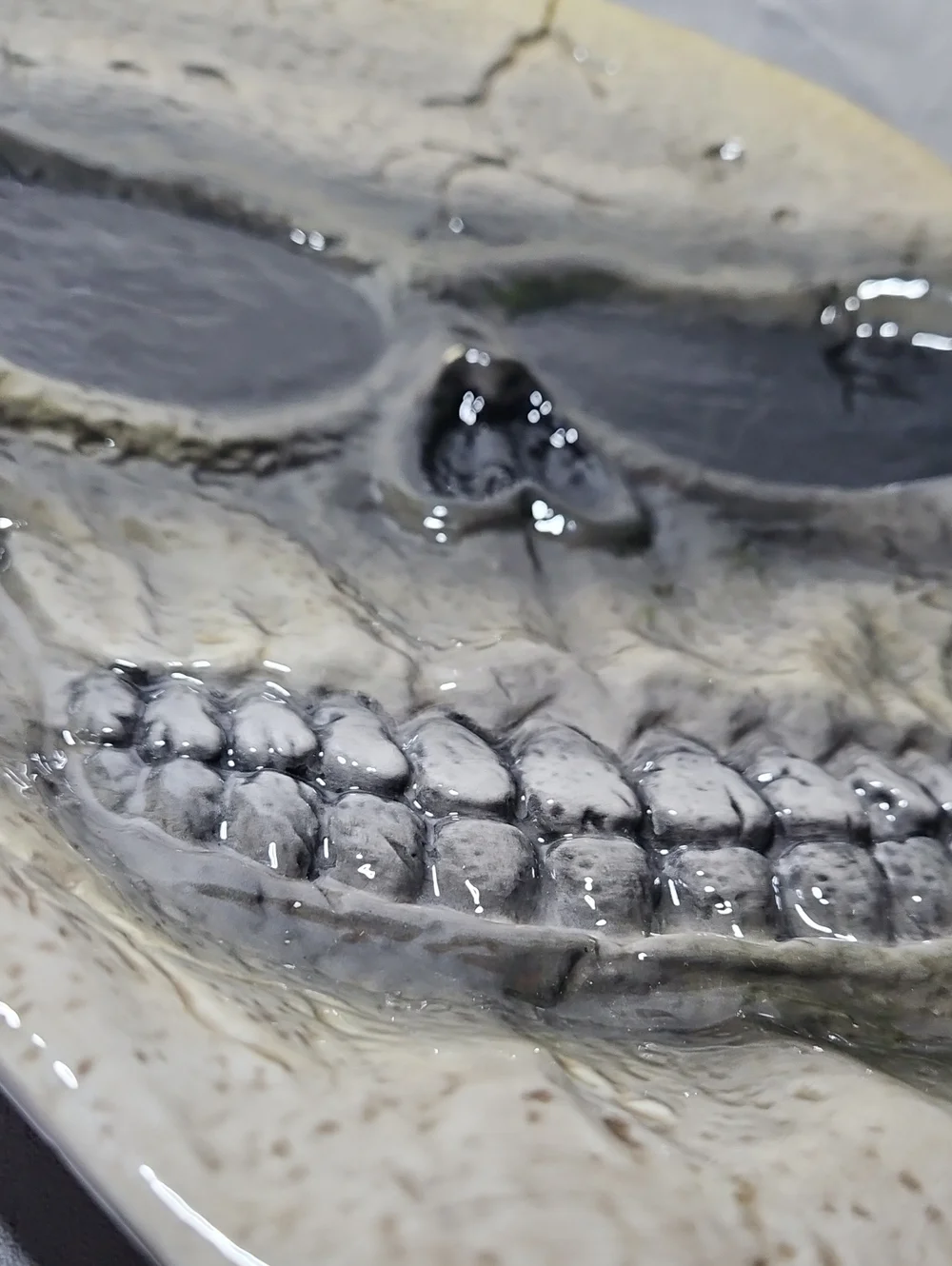 ceramic skull serving platter features a distressed, cracked gray finish